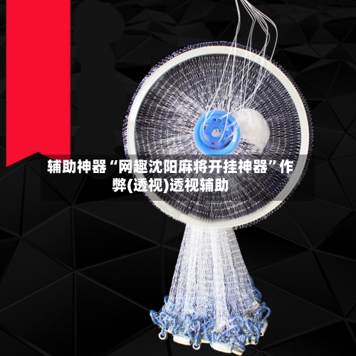 辅助神器“网趣沈阳麻将开挂神器”作弊(透视)透视辅助-第3张图片