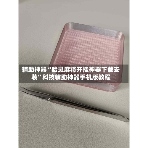 辅助神器“哈灵麻将开挂神器下载安装”科技辅助神器手机版教程-第3张图片