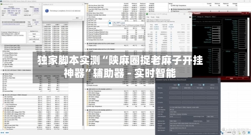 独家脚本实测“陕麻圈捉老麻子开挂神器”辅助器 - 实时智能-第2张图片