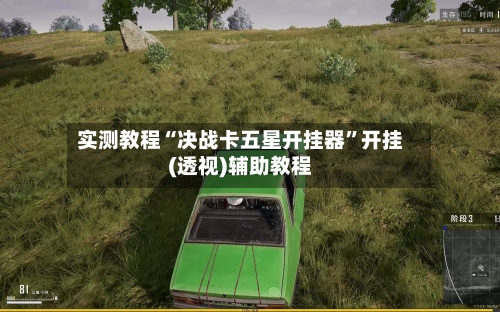 实测教程“决战卡五星开挂器”开挂(透视)辅助教程-第3张图片