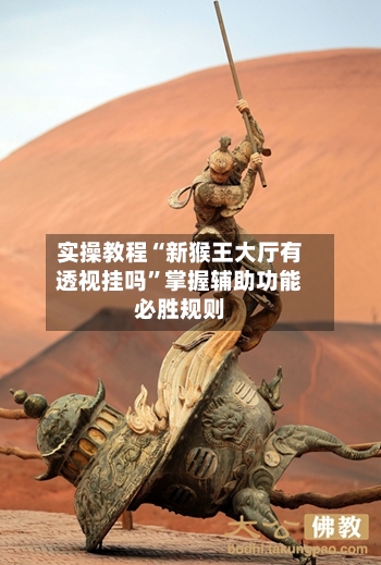 实操教程“新猴王大厅有透视挂吗”掌握辅助功能必胜规则