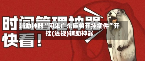 辅助神器“闲来广东麻将开挂插件”开挂(透视)辅助神器-第3张图片