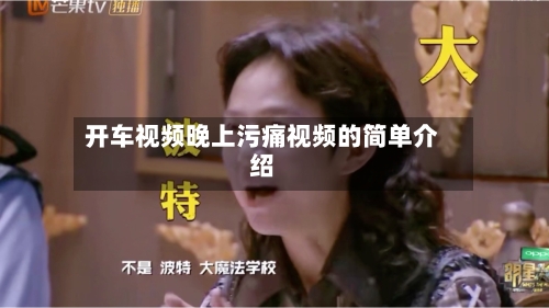 开车视频晚上污痛视频的简单介绍