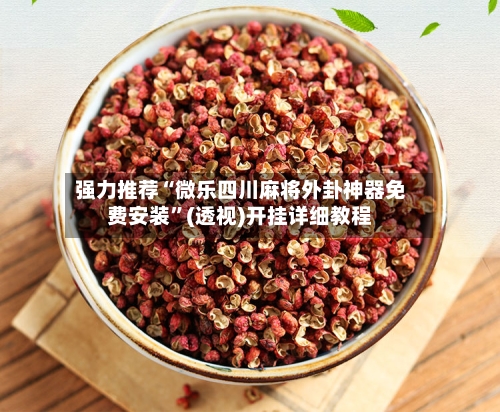 强力推荐“微乐四川麻将外卦神器免费安装”(透视)开挂详细教程-第2张图片