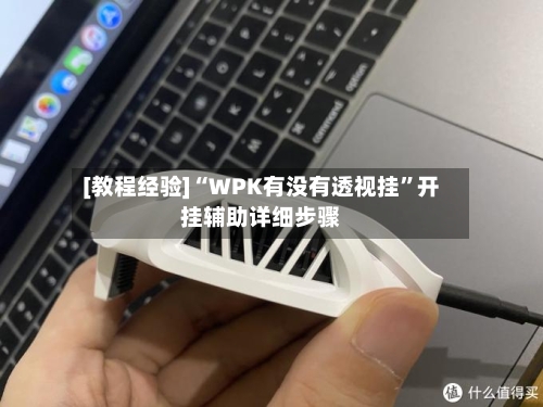 [教程经验]“WPK有没有透视挂”开挂辅助详细步骤-第2张图片