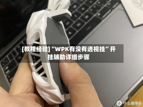 [教程经验]“WPK有没有透视挂”开挂辅助详细步骤-第3张图片
