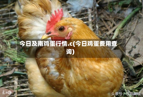 今日及南鸡蛋行情.c(今日鸡蛋费用查询)-第2张图片