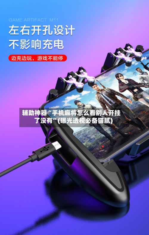 辅助神器“手机麻将怎么看别人开挂了没有	”(曝光透视必备猫腻)-第3张图片