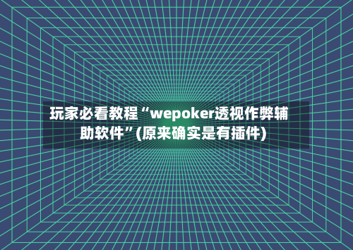 玩家必看教程“wepoker透视作弊辅助软件”(原来确实是有插件)-第2张图片