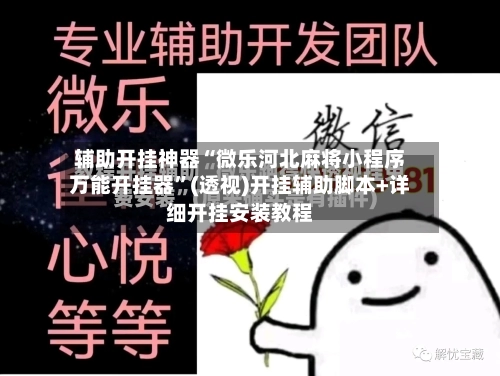 辅助开挂神器“微乐河北麻将小程序万能开挂器”(透视)开挂辅助脚本+详细开挂安装教程-第3张图片