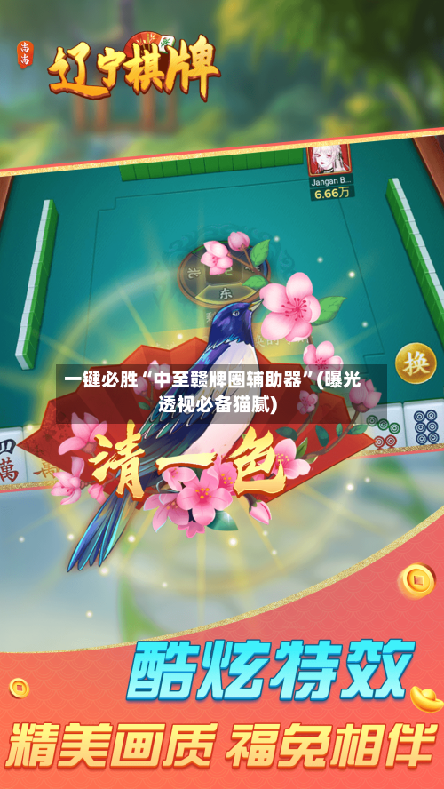 一键必胜“中至赣牌圈辅助器”(曝光透视必备猫腻)-第2张图片