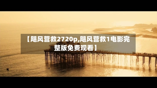 【飓风营救2720p,飓风营救1电影完整版免费观看】-第2张图片