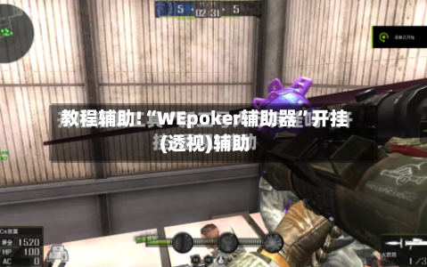 教程辅助!“WEpoker辅助器”开挂(透视)辅助-第2张图片