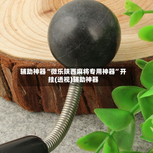 辅助神器“微乐陕西麻将专用神器”开挂(透视)辅助神器-第2张图片