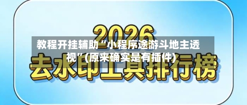 教程开挂辅助“小程序途游斗地主透视”(原来确实是有插件)-第2张图片