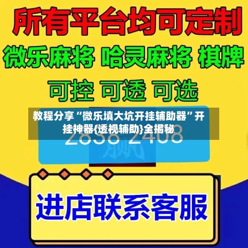 教程分享“微乐填大坑开挂辅助器	”开挂神器{透视辅助}全揭秘-第2张图片