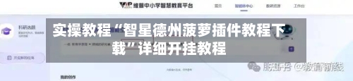 实操教程“智星德州菠萝插件教程下载”详细开挂教程-第2张图片