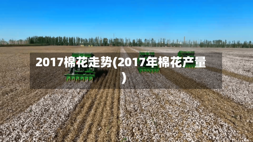 2017棉花走势(2017年棉花产量)-第2张图片