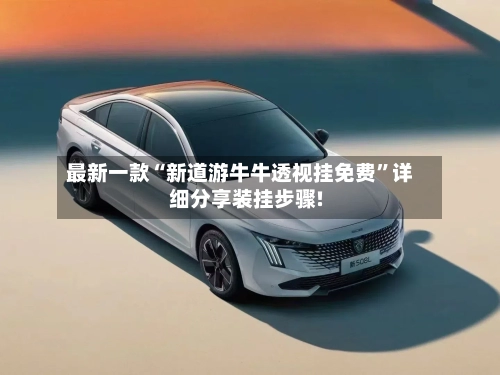 最新一款“新道游牛牛透视挂免费”详细分享装挂步骤!-第3张图片