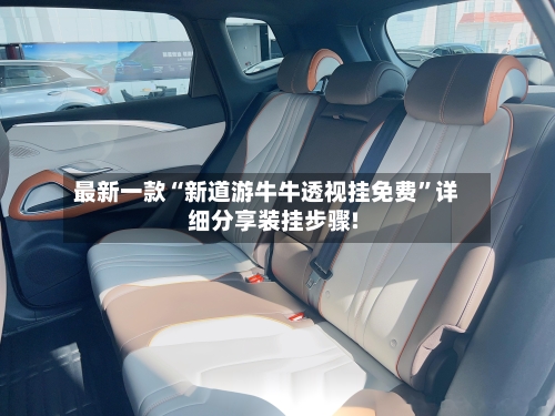 最新一款“新道游牛牛透视挂免费”详细分享装挂步骤!-第2张图片