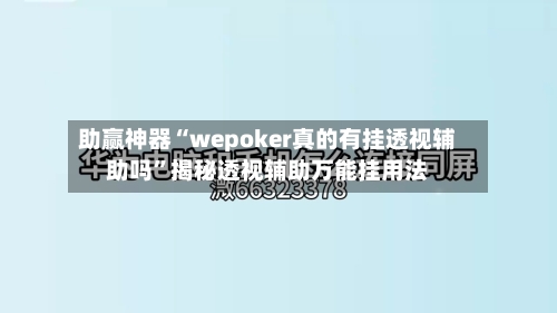 助赢神器“wepoker真的有挂透视辅助吗”揭秘透视辅助万能挂用法-第2张图片