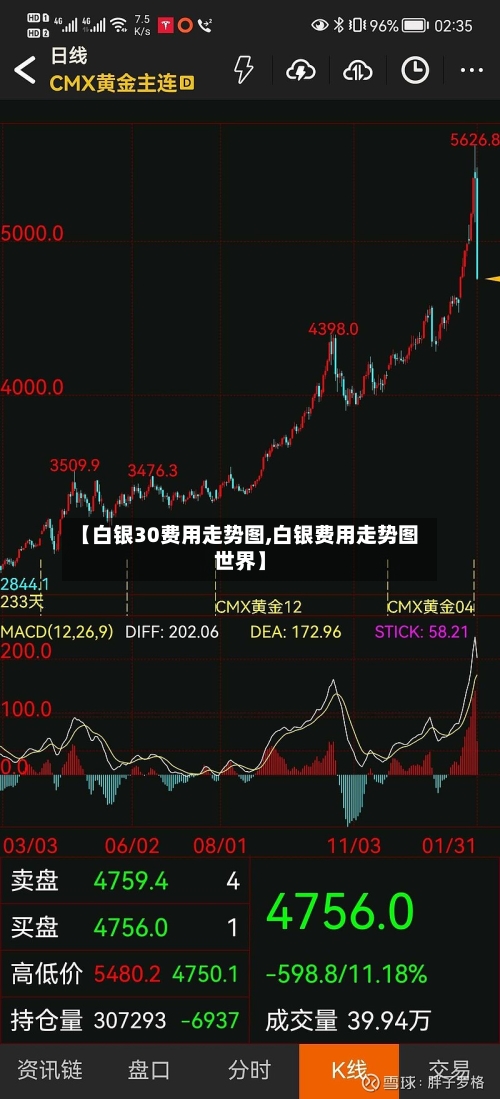【白银30费用走势图,白银费用走势图世界】-第2张图片