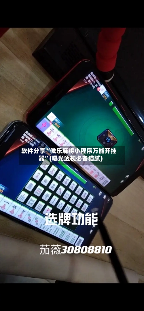 软件分享“微乐麻将小程序万能开挂器”(曝光透视必备猫腻)-第2张图片