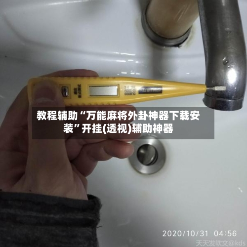 教程辅助“万能麻将外卦神器下载安装”开挂(透视)辅助神器-第2张图片