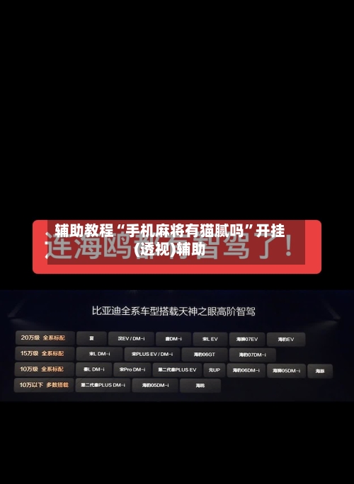 辅助教程“手机麻将有猫腻吗”开挂(透视)辅助