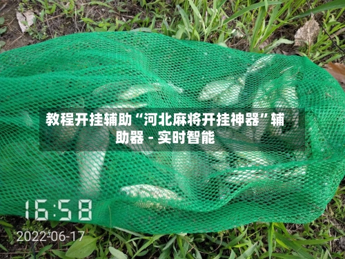 教程开挂辅助“河北麻将开挂神器”辅助器 - 实时智能-第3张图片