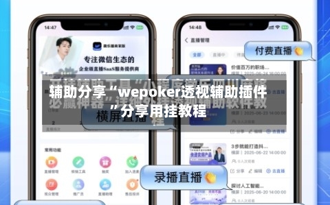 辅助分享“wepoker透视辅助插件”分享用挂教程-第3张图片
