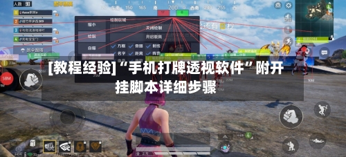 [教程经验]“手机打牌透视软件”附开挂脚本详细步骤-第3张图片