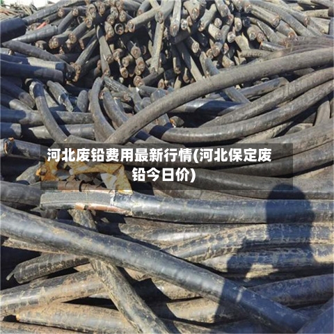 河北废铅费用最新行情(河北保定废铅今日价)-第2张图片