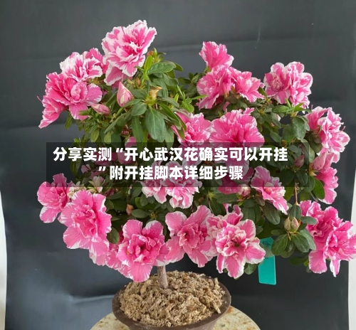 分享实测“开心武汉花确实可以开挂”附开挂脚本详细步骤-第2张图片