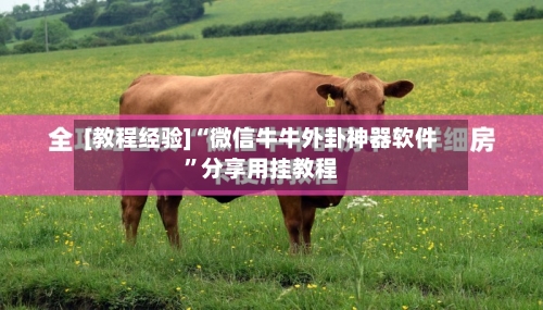 [教程经验]“微信牛牛外卦神器软件”分享用挂教程-第2张图片