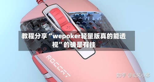 教程分享“wepoker轻量版真的能透视”的确是有挂-第3张图片