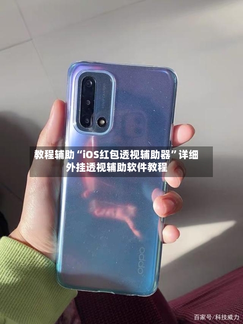 教程辅助“iOS红包透视辅助器”详细外挂透视辅助软件教程-第2张图片