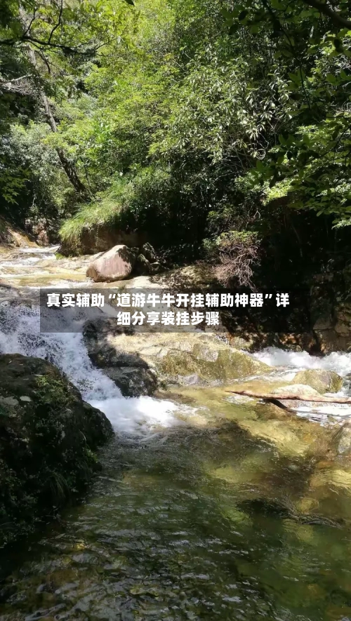 真实辅助“道游牛牛开挂辅助神器	”详细分享装挂步骤-第2张图片