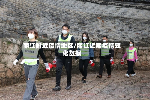 丽江附近疫情地区/丽江近期疫情变化数据-第3张图片