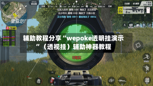辅助教程分享“wepoke透明挂演示	”（透视挂）辅助神器教程-第2张图片