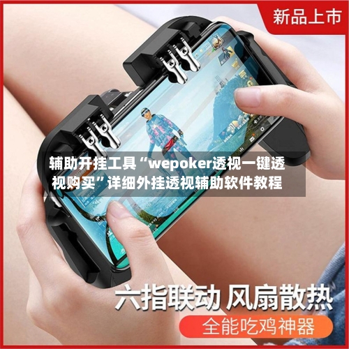 辅助开挂工具“wepoker透视一键透视购买”详细外挂透视辅助软件教程-第3张图片