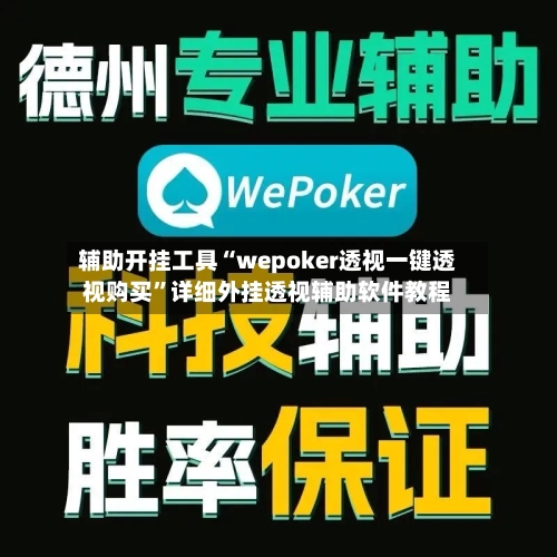 辅助开挂工具“wepoker透视一键透视购买”详细外挂透视辅助软件教程-第2张图片
