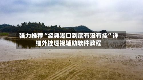 强力推荐“经典湖口到底有没有挂	”详细外挂透视辅助软件教程-第3张图片