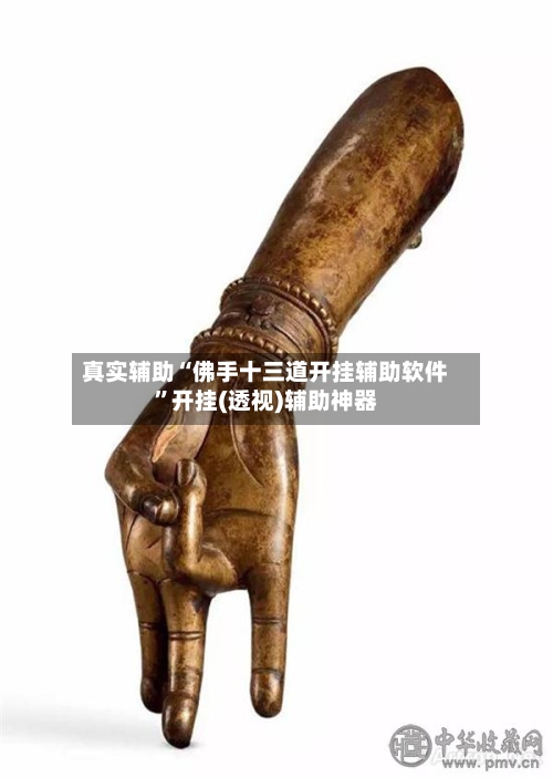 真实辅助“佛手十三道开挂辅助软件	”开挂(透视)辅助神器-第2张图片