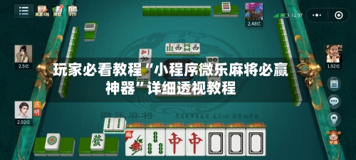 玩家必看教程“小程序微乐麻将必赢神器”详细透视教程-第2张图片