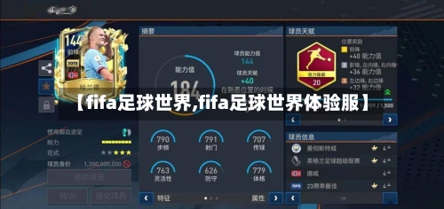 【fifa足球世界,fifa足球世界体验服】-第3张图片