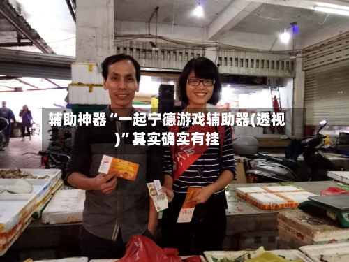 辅助神器“一起宁德游戏辅助器(透视)	”其实确实有挂-第2张图片