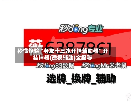 秒懂经验“老友十三水开挂辅助器	”开挂神器{透视辅助}全揭秘-第2张图片
