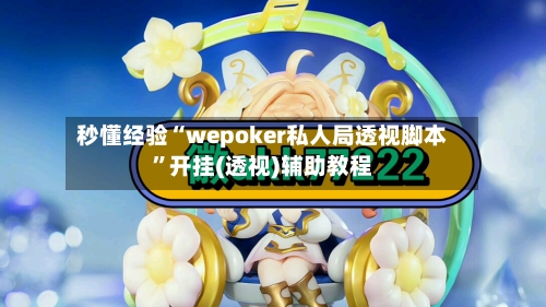 秒懂经验“wepoker私人局透视脚本”开挂(透视)辅助教程-第3张图片