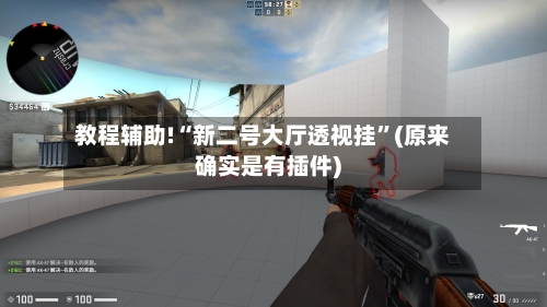 教程辅助!“新二号大厅透视挂”(原来确实是有插件)-第3张图片
